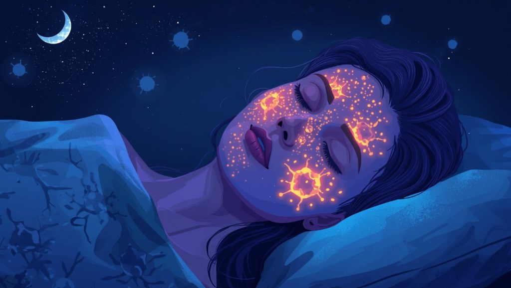 The Silent Work of Night: When Skin Repairs in Darkness